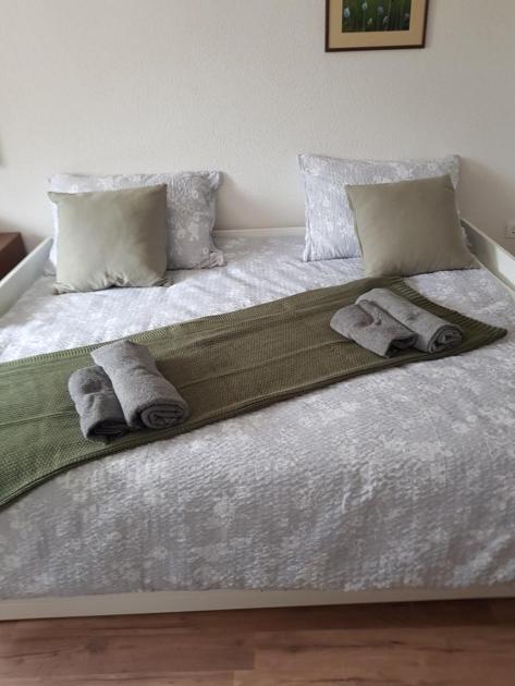 Apartma Bela Bohinjska Bela Zewnętrze zdjęcie
